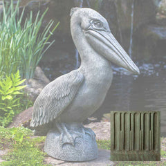 Campania Pelican