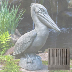 Campania Pelican