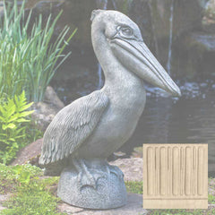 Campania Pelican