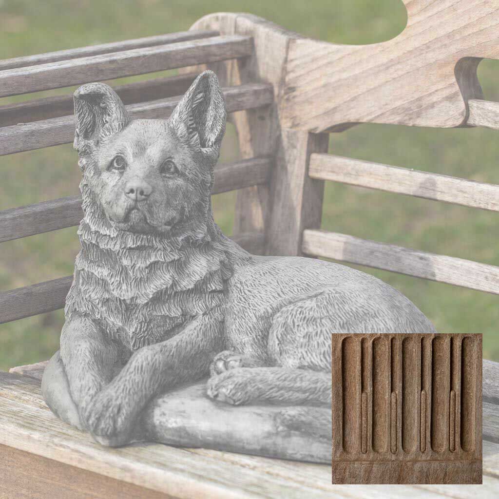 Campania Shepherd Pup
