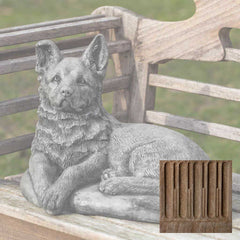 Campania Shepherd Pup