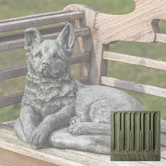 Campania Shepherd Pup