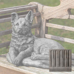 Campania Shepherd Pup