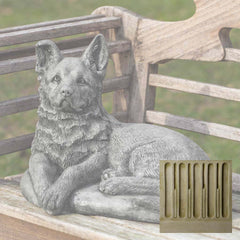 Campania Shepherd Pup