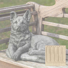 Campania Shepherd Pup