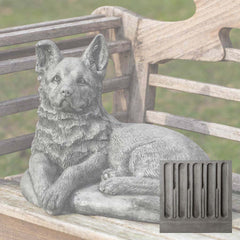 Campania Shepherd Pup
