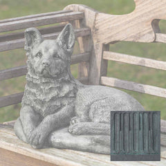 Campania Shepherd Pup