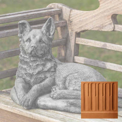 Campania Shepherd Pup