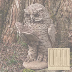 Campania Scholarly Owl