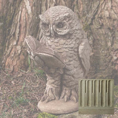 Campania Scholarly Owl