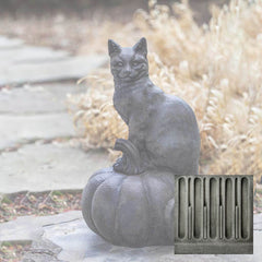 Campania Cat on Pumpkin