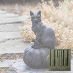 Campania Cat on Pumpkin
