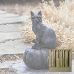 Campania Cat on Pumpkin