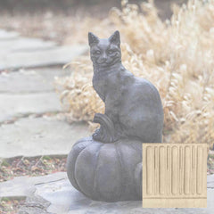 Campania Cat on Pumpkin