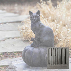 Campania Cat on Pumpkin