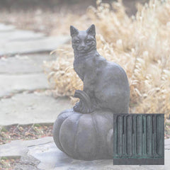 Campania Cat on Pumpkin