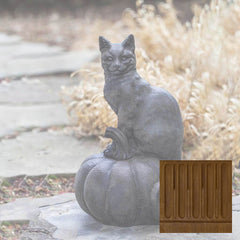 Campania Cat on Pumpkin