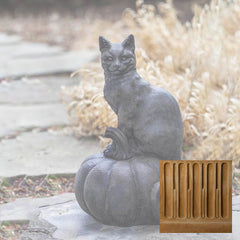 Campania Cat on Pumpkin