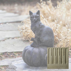 Campania Cat on Pumpkin