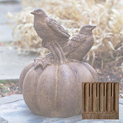 Campania Birds on Pumpkin