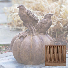 Campania Birds on Pumpkin
