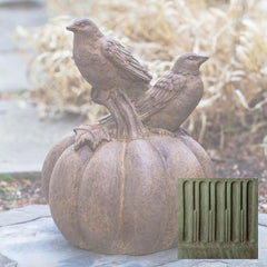 Campania Birds on Pumpkin