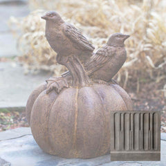 Campania Birds on Pumpkin