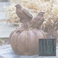 Campania Birds on Pumpkin