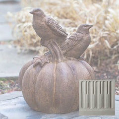 Campania Birds on Pumpkin