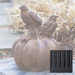 Campania Birds on Pumpkin
