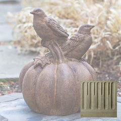 Campania Birds on Pumpkin