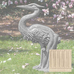 Campania Heron