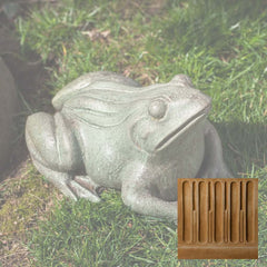 Campania Woodland Frog