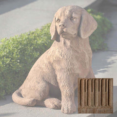 Campania Golden Retriever Puppy