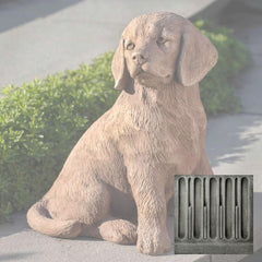 Campania Golden Retriever Puppy
