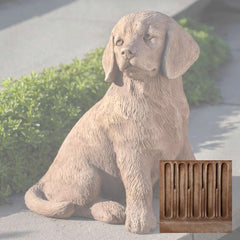 Campania Golden Retriever Puppy