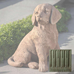 Campania Golden Retriever Puppy