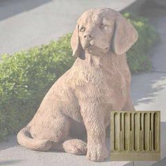 Campania Golden Retriever Puppy