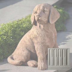 Campania Golden Retriever Puppy