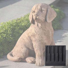 Campania Golden Retriever Puppy