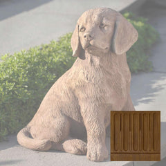 Campania Golden Retriever Puppy