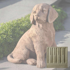 Campania Golden Retriever Puppy