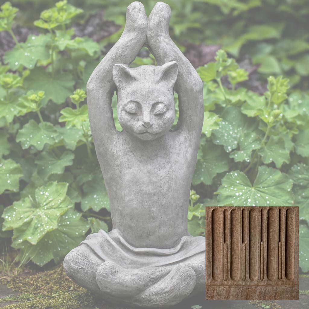 Campania Yoga Cat