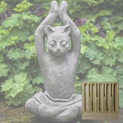 Campania Yoga Cat