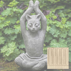 Campania Yoga Cat