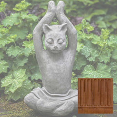 Campania Yoga Cat