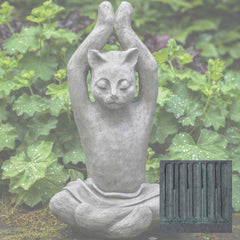 Campania Yoga Cat