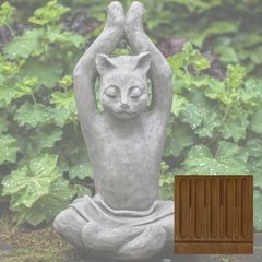 Campania Yoga Cat
