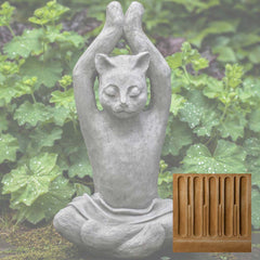 Campania Yoga Cat