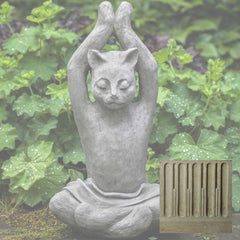 Campania Yoga Cat